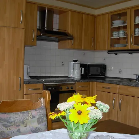 Ferienwohnung Steinebach Daun Exterior foto
