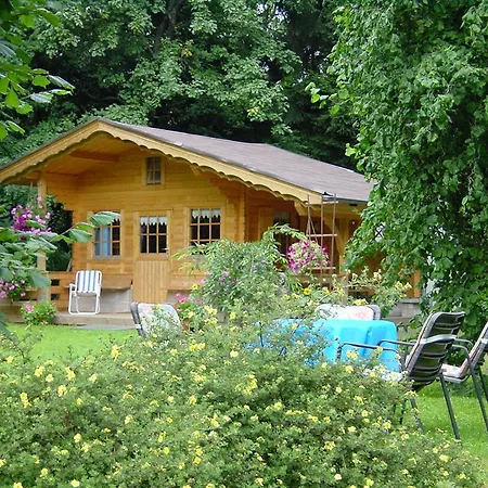 Ferienwohnung Steinebach Daun Exterior foto